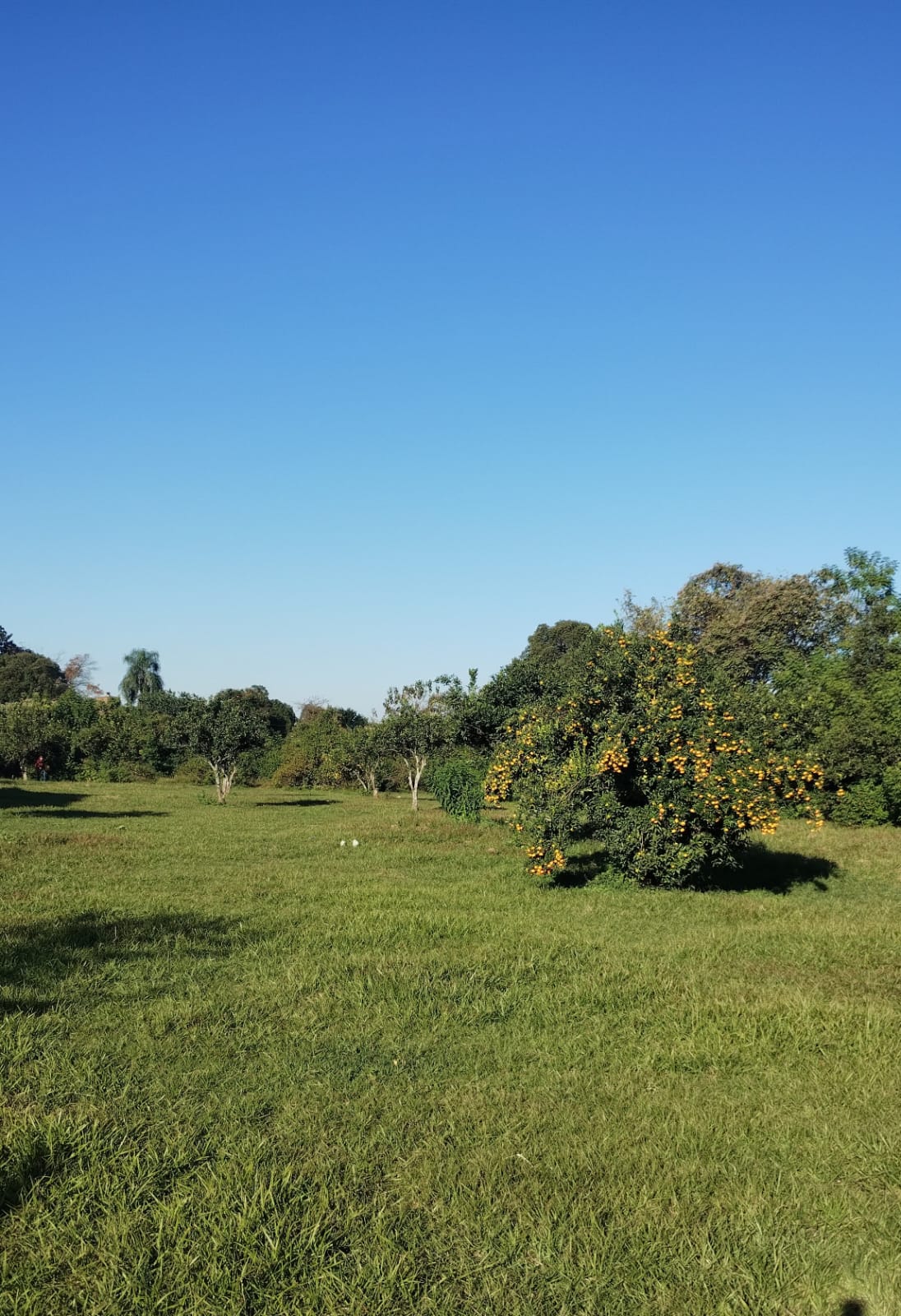 Terreno Zona Pablo Apóstol Guatemala al 200