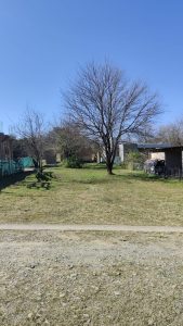 Terreno-La-Reserva-1-foto