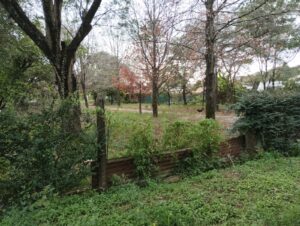 Terreno-calle-San-Luis-2-3