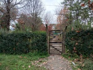 Terreno-calle-San-Luis-5